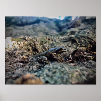 Drucken, Werteplakatpapier (Matte) Poster