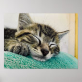 Drucken, Werteplakatpapier (Matte) Poster (Vorne)