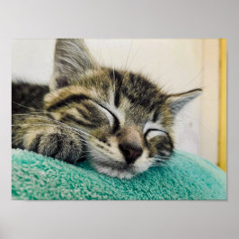 Drucken, Werteplakatpapier (Matte) Poster