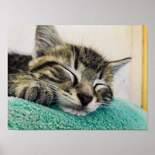 Drucken, Werteplakatpapier (Matte) Poster (Vorne)