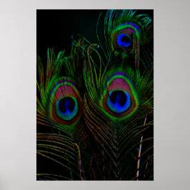 Drucken, Werteplakatpapier (Matte) Poster