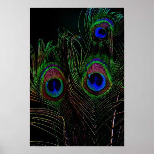 Drucken, Werteplakatpapier (Matte) Poster (Vorne)