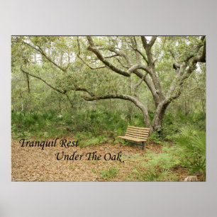 Drucken, Werteplakatpapier (Matte) Poster