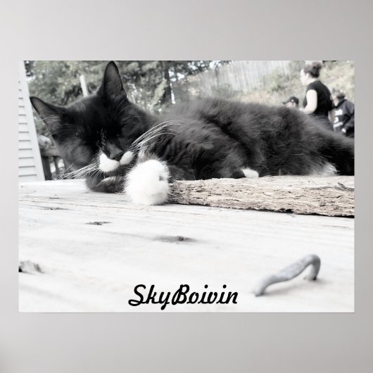 Drucken, Werteplakatpapier (Matte) Poster (Vorne)