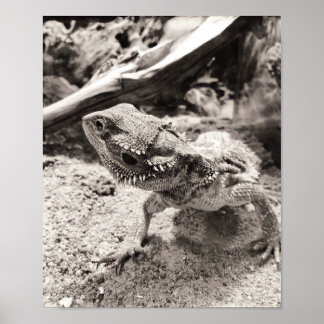 Drucken, Werteplakatpapier (Matte) Poster