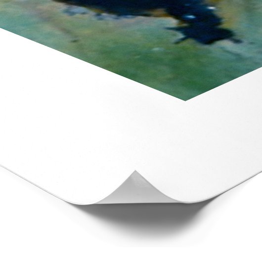 DRUCKEN "WHITE LILLY" POSTER (Ecke)