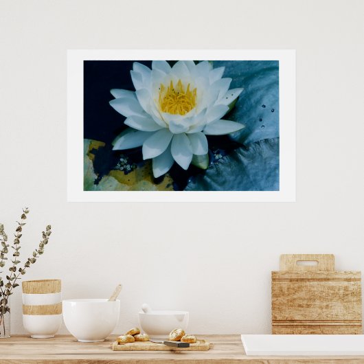 DRUCKEN "WHITE LILLY" POSTER (Küche)