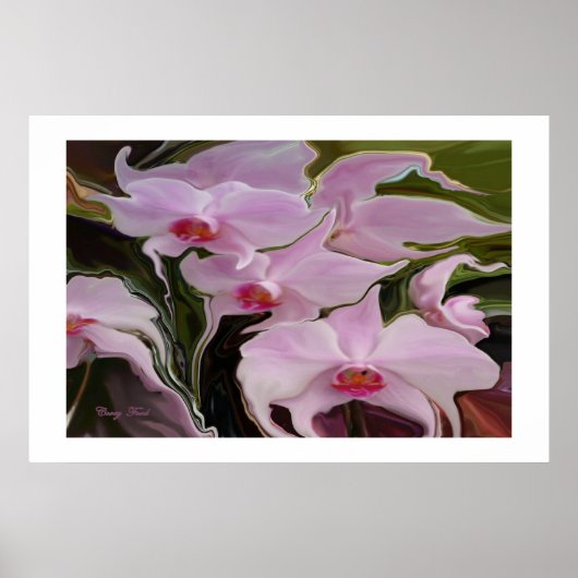 DRUCKEN "WOCHENORCHIDEN" POSTER (Vorne)