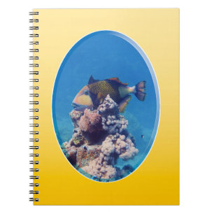 Drückerfisch auf Korallenspitze - Fotodesign Notizblock