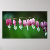 Druckfarben Poster (Vorne)