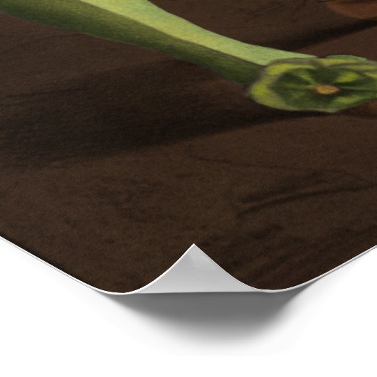 Druckkomödie Poster (Ecke)