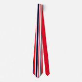 Druckmuster-Krawatte von Funky Red Blue Stripes Krawatte (Vorderseite)