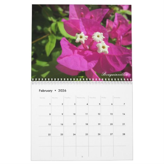 Druckphotographie-Kalender St. Maarten Gewohnheit Kalender (Feb 2026)