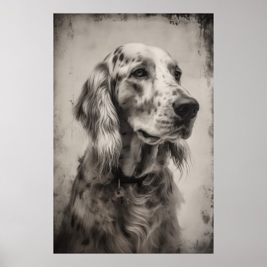 Druckporträt eines englischen Setters Poster (Vorne)