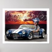Druckregale AC Cobra Poster (Vorne)