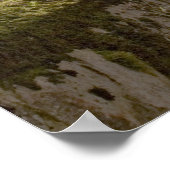 Druckschrift Poster (Ecke)