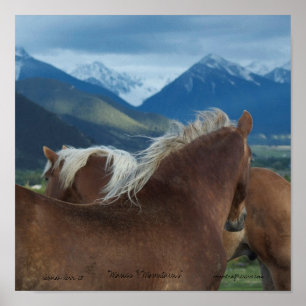 Drucksegeltuch-Pferde und Berge Poster