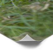 Drucktaste Poster (Ecke)