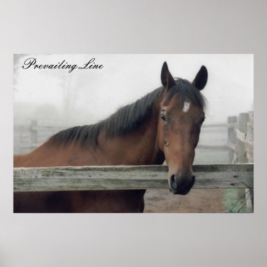 Druckvorschau Poster (Vorne)