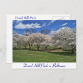 Druid Hill Park im Frühling Postkarte (Vorne/Hinten)