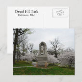 Druid Hill Park Postkarte (Vorne/Hinten)