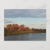 Druid Hill Park Postkarte (Vorderseite)