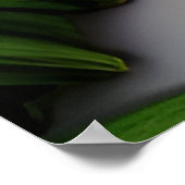 Druid Nature Goddess Woman Fantasy Art Poster (Ecke)