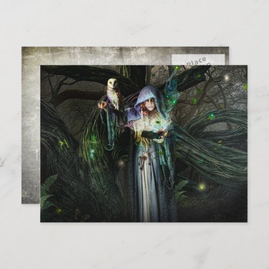 Druid Priestes Postkarte (Vorne/Hinten)