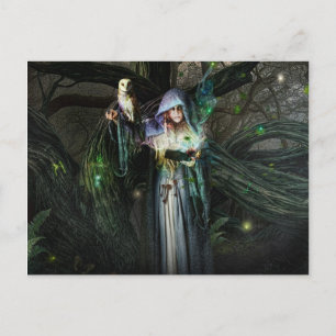 Druid Priestes Postkarte