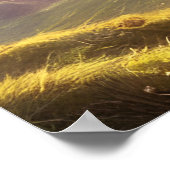 Druid Warrior Princess Fantasy Art Poster (Ecke)