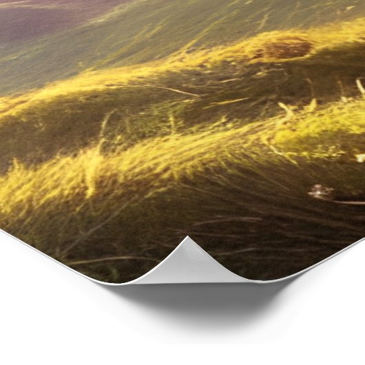 Druid Warrior Princess Fantasy Art Poster (Ecke)