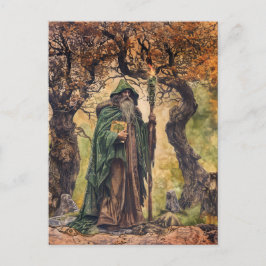 Druide keltische Weiße Priester der Natur Postkarte