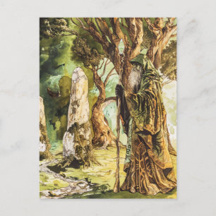 Druide  keltischer weiser Priester der Natur Postkarte
