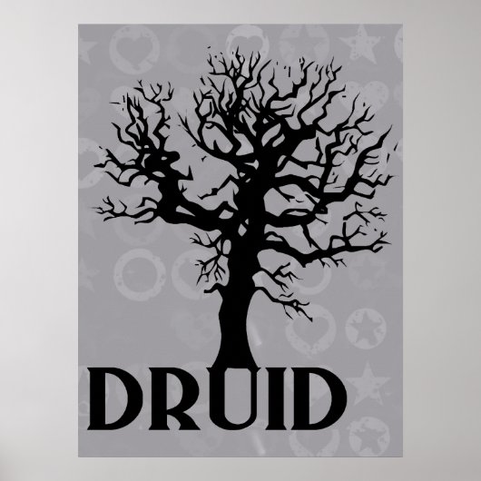 Druide Poster (Vorne)