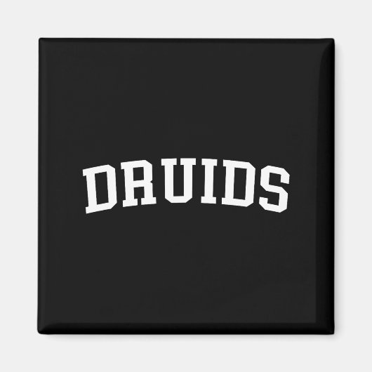 Druids  magnet (Vorne)
