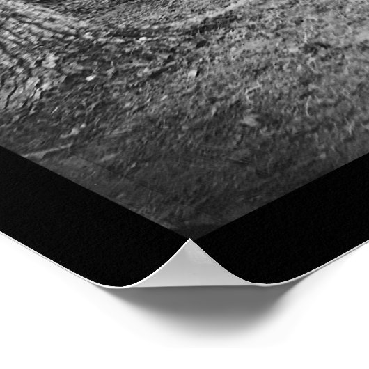 Drum Corps in Bealeton, VA 1863 Poster (Ecke)