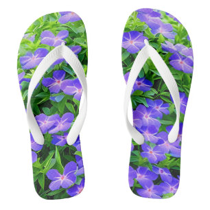 Drummond-Clematis - eine niedliche kleine blaue Bl Badesandalen