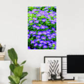 Drummond-Clematis - eine niedliche kleine blaue Bl Poster (Heimbüro)