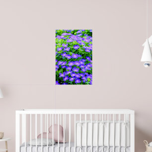 Drummond-Clematis - eine niedliche kleine blaue Bl Poster