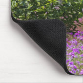 Drummond Phlox, Phlox drummondi, Hilton Head Mousepad (Ecke)