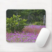 Drummond Phlox, Phlox drummondi, Hilton Head Mousepad (Mit Mouse)