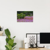Drummond Phlox, Phlox drummondi, Hilton Head Poster (Heimbüro)