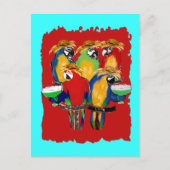 Drunkin Parrots Postkarte (Vorderseite)