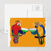 Drunkin Parrots Postkarte (Vorne/Hinten)