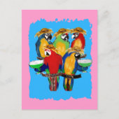 Drunkin Parrots Postkarte (Vorderseite)