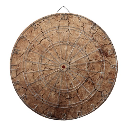 Dry Earth Dartscheibe (vorne)