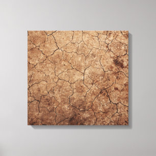 Dry Earth Leinwanddruck