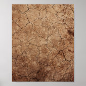 Dry Earth Poster (Vorne)