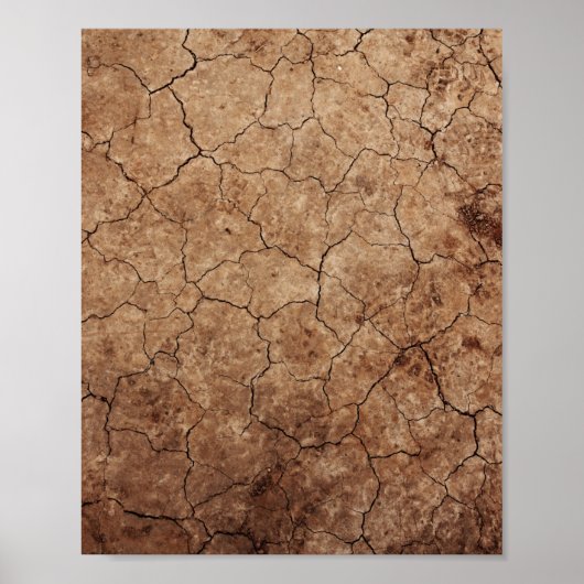 Dry Earth Poster (Vorne)