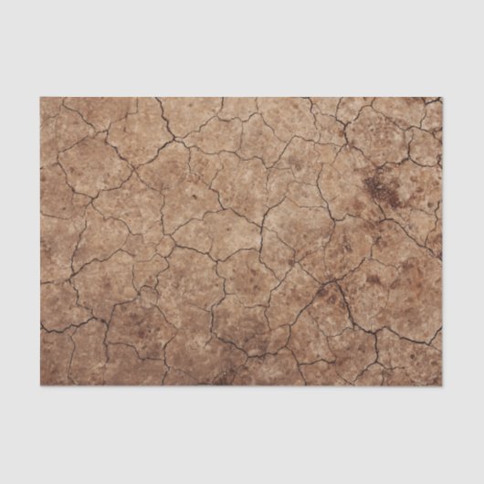 Dry Earth Seidenpapier (Vorderseite)